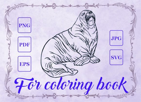 A Designer's Review: Walrus Graphics for Client Projects