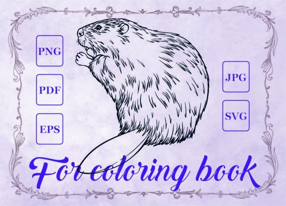 Beaver Illustrations for Creative Graphics and Coloring Pages