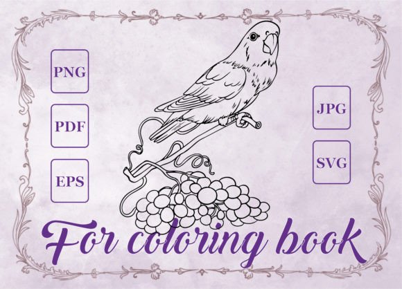 Parrot on a Vine: Graphics & Coloring Pages Amp Review